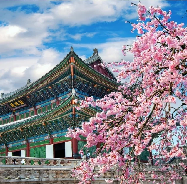 Cheap Flights From London To Seoul