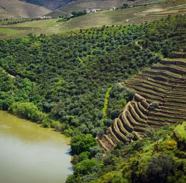 Douro Valley